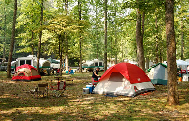 W/E Tent Site